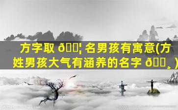 方字取 🐦 名男孩有寓意(方姓男孩大气有涵养的名字 🕸 )